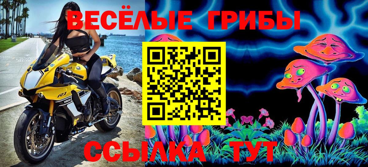 Галлюциногенные грибы мухоморы  Вход с VPN  Хасавюрт 