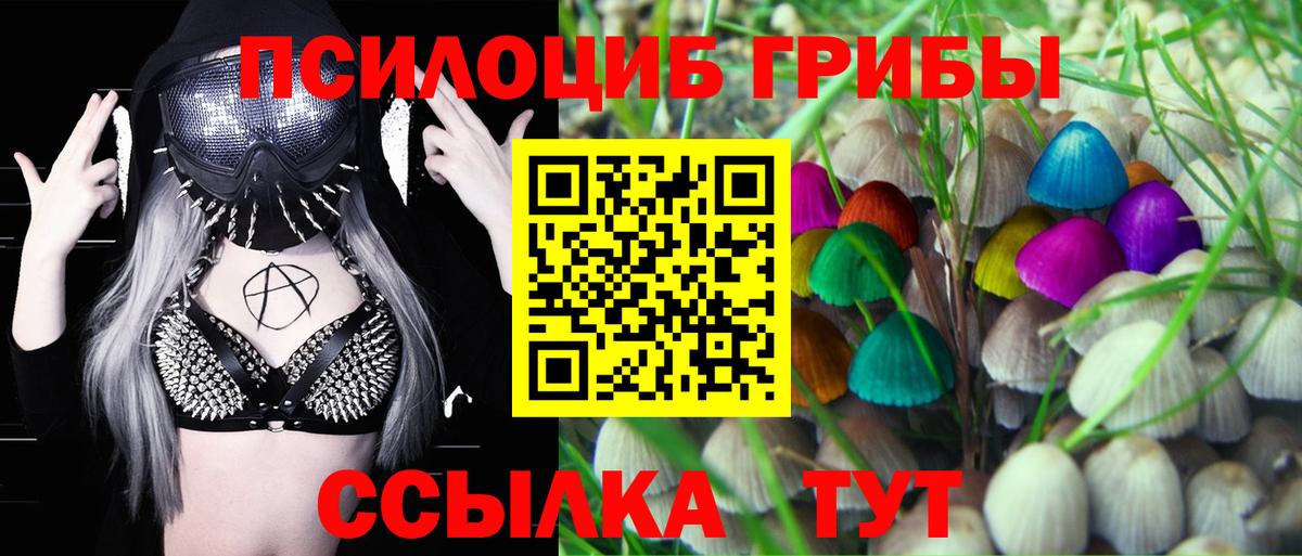 Галлюциногенные грибы ЛСД Хасавюрт