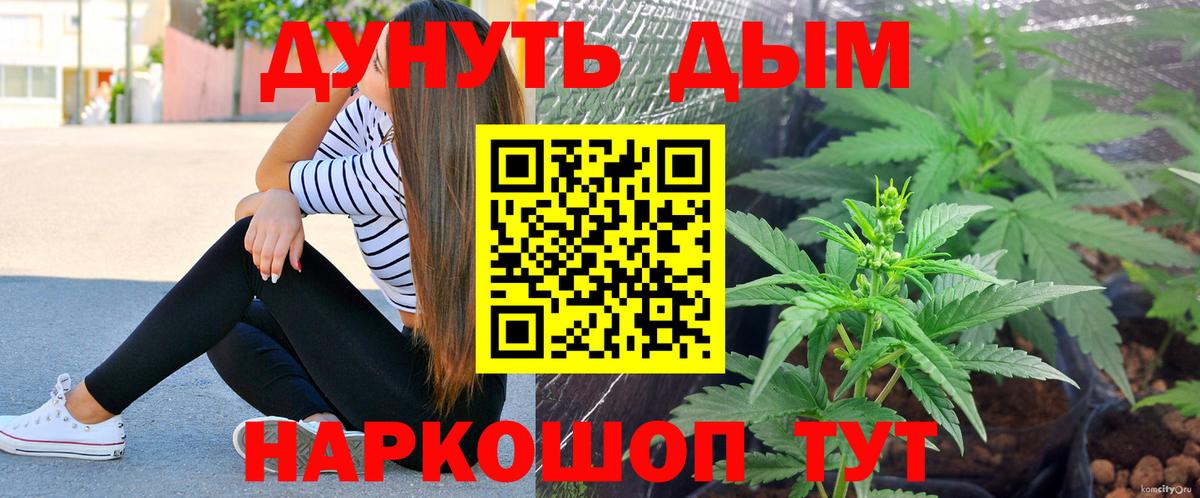 Каннабис Amnesia Хасавюрт